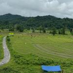 Sarpang land prices tumble as buyers wait for clarity