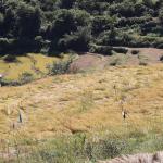 𝗙𝗶𝗴𝗵𝘁𝗶𝗻𝗴 𝗮 𝗹𝗼𝘀𝗶𝗻𝗴 𝗯𝗮𝘁𝘁𝗹𝗲 𝗶𝗻 𝗕𝗮𝗿𝗽 𝗚𝗲𝘄𝗼𝗴?