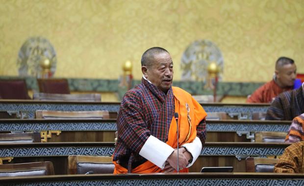 NA adopts International Big Cat Alliance