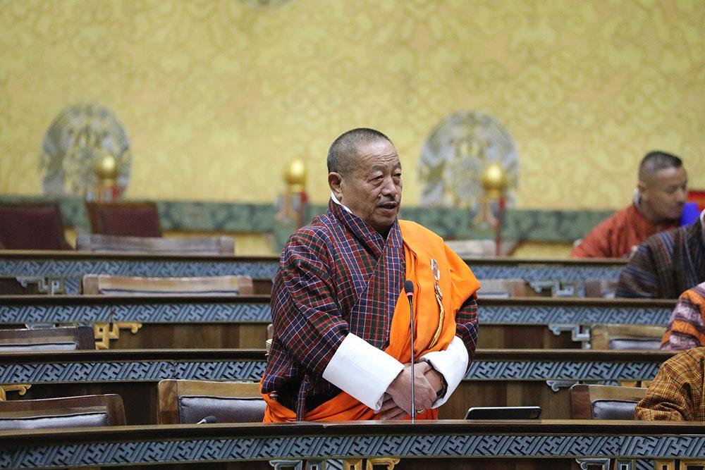 NA adopts International Big Cat Alliance