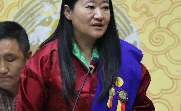 གཞུང་གིས་ རྒན་ཤོས་ཚུ་གི་དོན་ལུ་ སྡོད་ཁྱིམ་རྐྱབ་ནིའི་ འཆར་གཞི་མེདཔ།