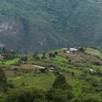 Terraces and irrigation land development boosts farming in Minjey