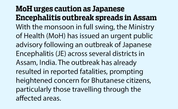 MoH urges caution as Japanese Encephalitis outbreak spreads in Assam