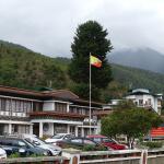 ཕྱུག་ཤོས་ཀྱི་ཨུ་ལུ་ཚུ་གིས་ སྤྱང་ཤོས་ཀྱི་ཨ་ལུ་ཚུ་ལས་ དྲག་ཤོས་མཚམས་ཅིག་ཡོད་པའི་་ གསལ་སྟོན་བྱུང་ཡོདཔ།