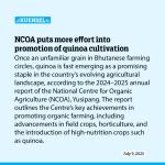 NCOA puts more effort into promotion of quinoa cultivation