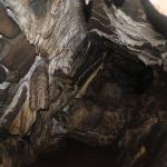 རང་རྩེ་གནས་ཀྱི་ ཚེས་བཅུ་འགོ་འདྲེན་འཐབ་ནི།