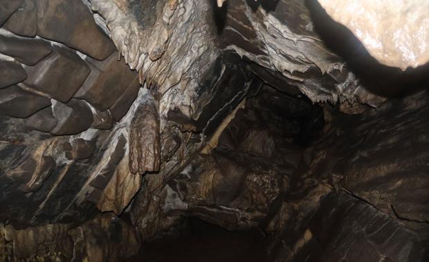 རང་རྩེ་གནས་ཀྱི་ ཚེས་བཅུ་འགོ་འདྲེན་འཐབ་ནི།