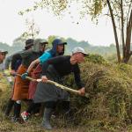 Picassos of the Royal Canvas