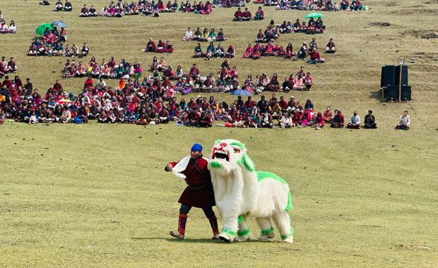 Rhododendron Festival draws thousands of visitors