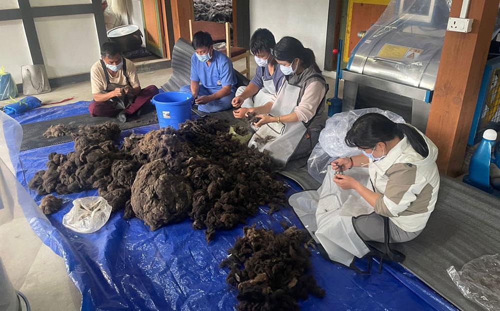 Reviving yak-rearing through wool, rangeland and market access