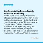 Youth mental health needs early attention, experts say