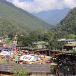 Bird Festival brings life to Tingtibi