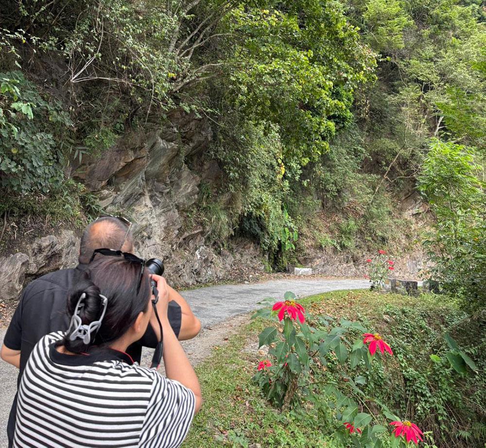 In Zhemgang, even the forest has a voice