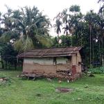 Between roots and change: Quiet transformation of adivasi in Samtse