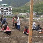 City farms grow, but support stalls