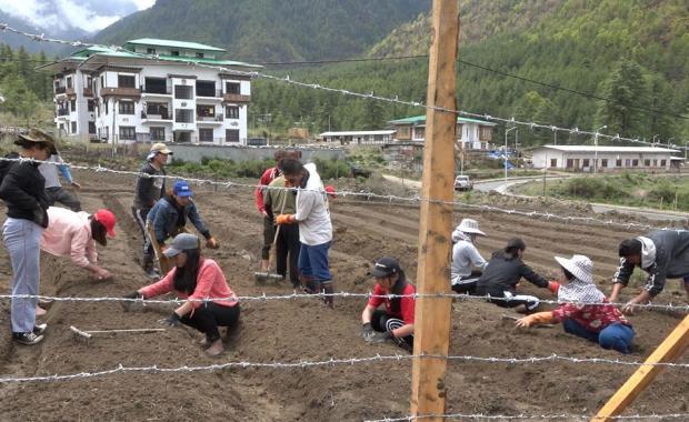 City farms grow, but support stalls