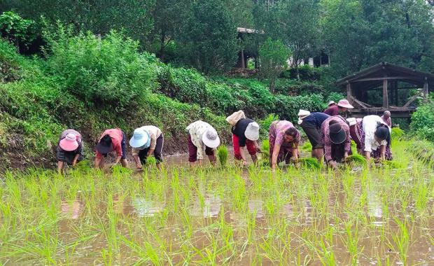 MoAL to boost domestic production to ensure food security