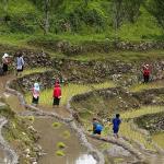 Farmers’ Registration System promises targeted support, smarter agricultural policymaking