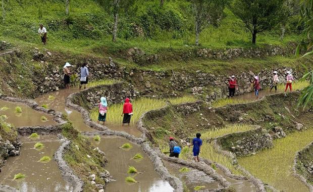 Farmers’ Registration System promises targeted support, smarter agricultural policymaking