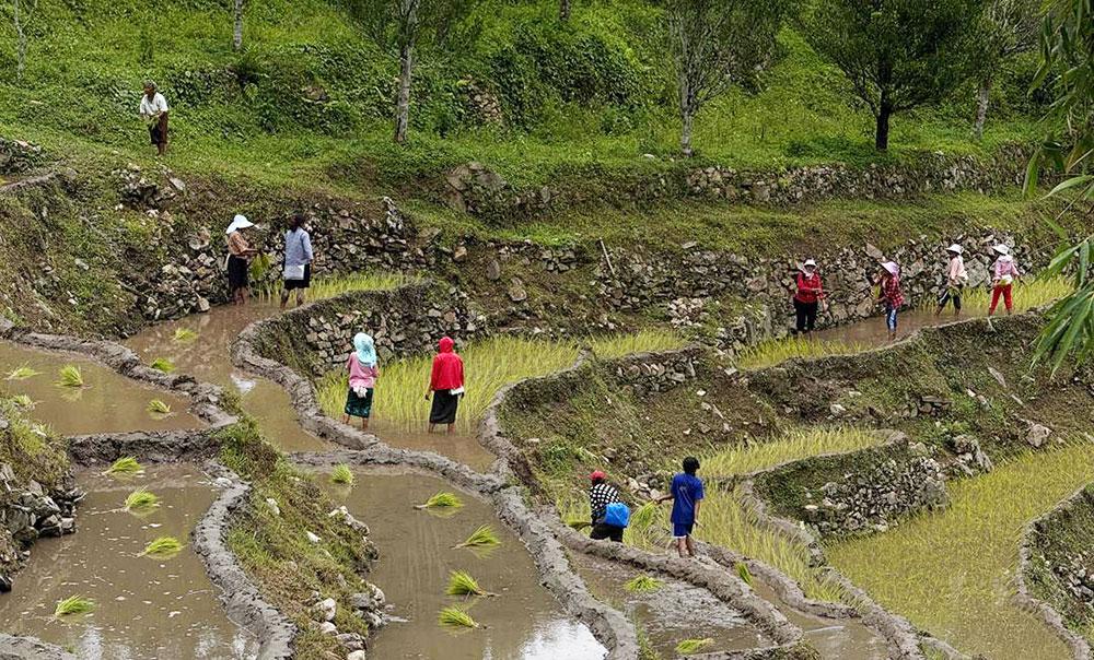 Farmers’ Registration System promises targeted support, smarter agricultural policymaking