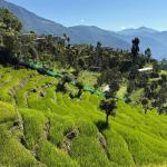 Bhutan’s agrifood sector sees growth amid reforms and rising exports