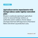 Agriculture sector experiments with foreign labour under tightly controlled pilot