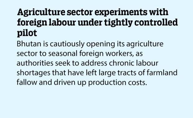 Agriculture sector experiments with foreign labour under tightly controlled pilot
