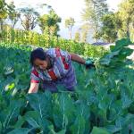 Agriculture ministry accelerates growth, productivity and farmer resilience in 2025