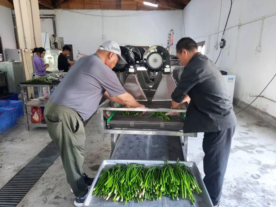 Post-harvest losses threaten food security as farmers lose millions