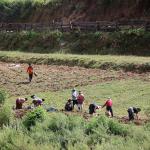 Agrifood sector gears up for major transformation