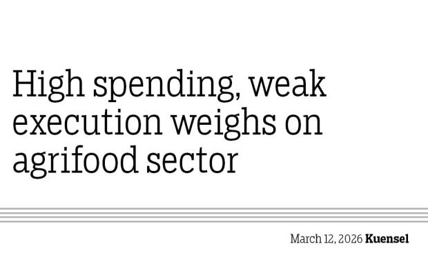 High spending, weak execution weighs on agrifood sector