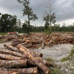 GMC Airport construction takes off with site clearance works