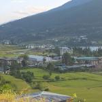 བ་འཇོ་ཐང་མགོ་གི་གཡུས་ཚན་དེ་ ཆུ་རུད་ཀྱི་ཉེན་ཁ་ཡོད་རུང་ འཕྲོ་མཐུད་དེ་ར་ རྒྱ་སྐྱེད་འགྱོ་དོ་ཡོདཔ།