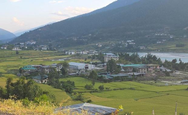 བ་འཇོ་ཐང་མགོ་གི་གཡུས་ཚན་དེ་ ཆུ་རུད་ཀྱི་ཉེན་ཁ་ཡོད་རུང་ འཕྲོ་མཐུད་དེ་ར་ རྒྱ་སྐྱེད་འགྱོ་དོ་ཡོདཔ།