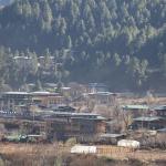 The Architecture of Warmth