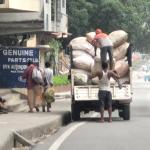 Fronting, smuggling rock Bhutan’s cardamom market, farmers pay the price