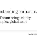 Understanding carbon market
