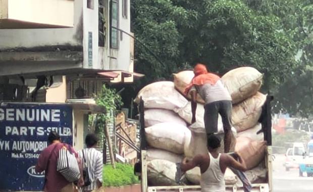 Govt. to investigate fronting in cardamom business