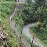 Chainlink fencing ends decades of  human-wildlife conflict in Jangcholing