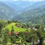 Govt. expands chain-link fencing to curb wildlife threats on farmland