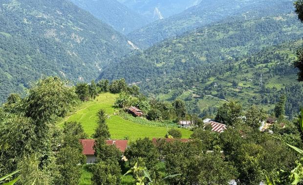 Govt. expands chain-link fencing to curb wildlife threats on farmland