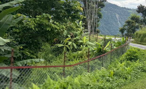 རི་དྭགས་སེམས་ཅན་གྱི་ ལོ་ཐོག་ལུ་གནོད་སྐྱོན་རྐྱབ་མིའི་གདོང་ལེན་ལུ་ ལྕགས་སྐུད་དྲྭ་མིག་གི་ར་བ་བསྒོར་དོ་ཡོདཔ།