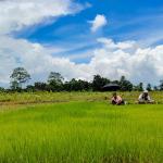 གཞུང་གིས་ ཐོན་ཤུགས་ཅན་གྱི་འབྱ་ཞིང་ཚུ་ལུ་བརྟེན་ རང་འཚོ་རང་ལྡང་བཟོ་ནི།