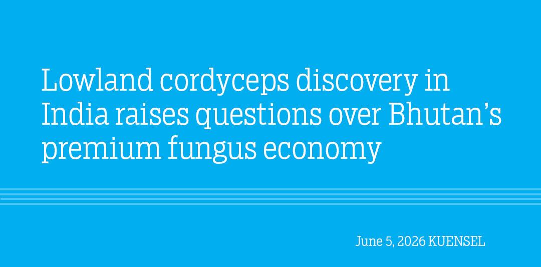 Lowland cordyceps discovery in India raises questions over Bhutan’s premium fungus economy