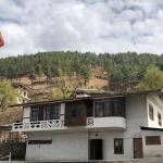 Court rules WWF unlawfully dismissed employee, orders to pay compensation and legal cost