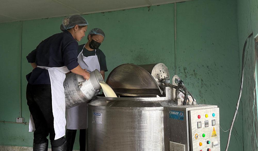 Dairy, poultry, and aquaculture show growth in first year of 13th Plan