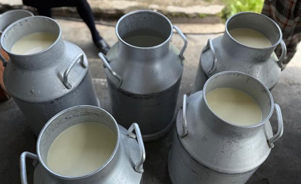 Household farms dominate livestock sector