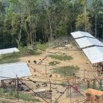 Sarpang free of free-roaming dogs