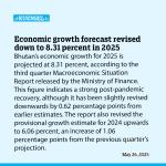 Economic growth forecast revised down to 8.31 percent in 2025
