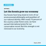 Let the forests grow our economy